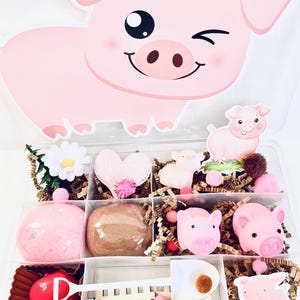 Pigs Sensory Play Kit, kids busy box, sensory play, kids gift, play dough kit, play doh kit, sensory box,Travel Sensory Kit