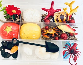 Kit sensoriale Sognando il mare, Gioco sensoriale, Kit sensoriale dell'oceano, Scatola occupata per bambini, Regali per bambini, Regalo per bambini, Kit pasta da gioco, Kit gioco Doh