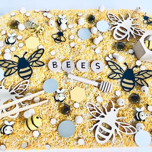 XL Busy Bee Sensory Kit, Kids Busy Box, Sensory Bin