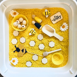Busy Bee Sensory Kit, Kids Busy Box, Sensory Bin