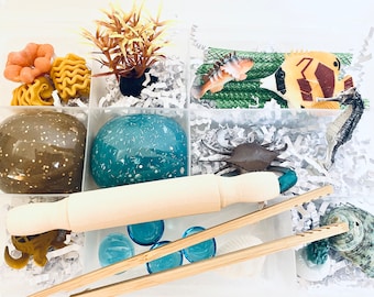 Kit sensoriale Sognando il mare, Gioco sensoriale, Kit sensoriale dell'oceano, Scatola occupata per bambini, Regali per bambini, Regalo per bambini, Kit pasta da gioco, Kit gioco Doh