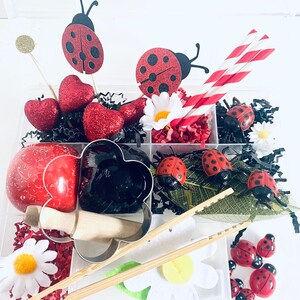 Ladybug Sensory Kit, Sensory Play Kit, Kids Busy Box, Girls Gift, Girls Play Kit