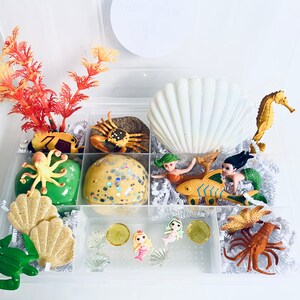 Dreaming of the Sea Sensory Kit, Sensory play, Ocean Sensory Kit, Kids Busy Box, Kids Gifts, Gift for Kids, Play Dough Kit, Play Doh Kit