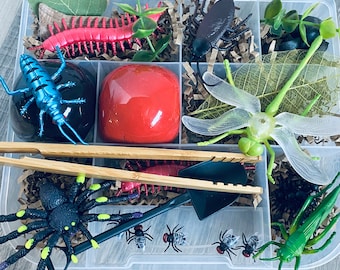 Bugs Sensory Play Kit, Sensory box, gift for boy, boy gift, playdoh kit, play dough kit, kids gift, kids busy box,Travel Sensory Kit