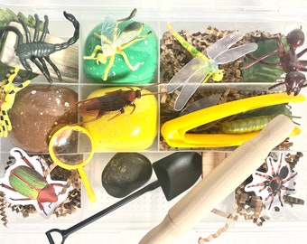 Bugs Sensory Play Kit, Sensory box, gift for boy, boy gift, playdoh kit, play dough kit, kids gift, kids busy box,Travel Sensory Kit