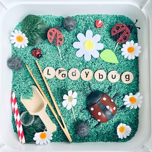 Ladybug Sensory Bin, Ladybugs Sensory Play, Busy Box, Sensory Play, Kids Gift, Kids Travel Activity for Kids, Sensory Box