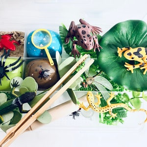 Reptile Play Dough Kit, Play Dough Kit, Lizards and Frogs Sensory Play, Play Doh Kit, Kids Xmas Gift, Montessori Busy Box, Kids Gift, Snake