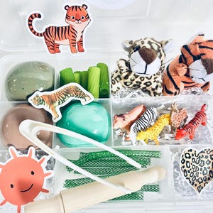 Zoo/Safari Play Dough Kit, Zoo Play Dough Kit, Animal Playdough Kit, Kids Gift, Kids Birthday Gift, Safari Sensory Bin, Zoo Sensory Play