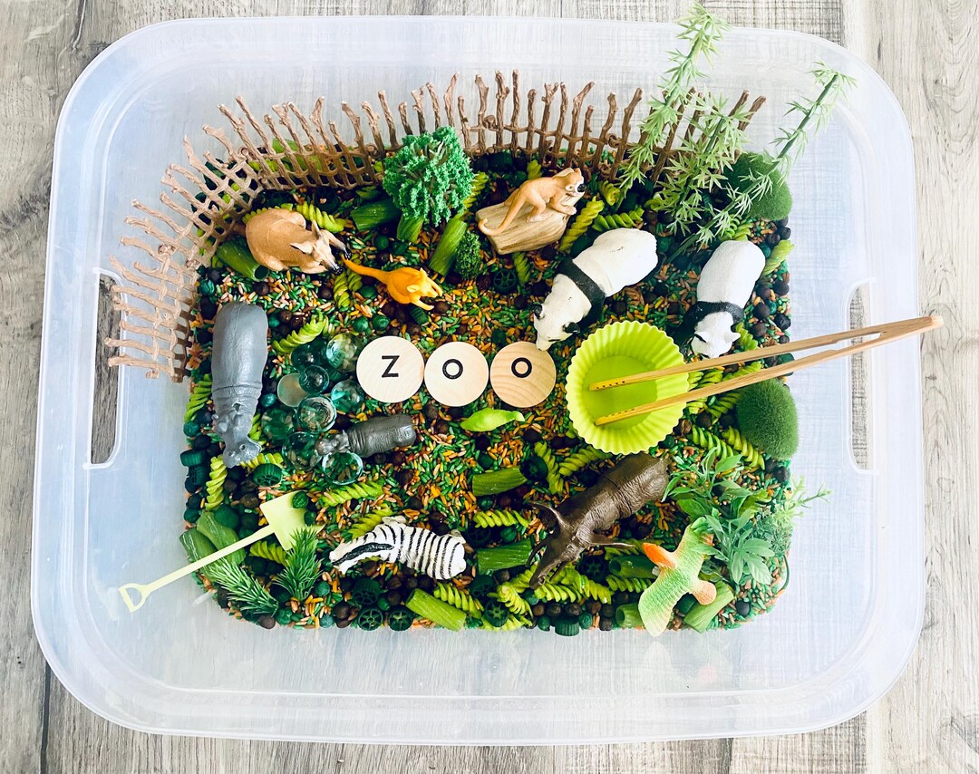 XL Zoo Sensory Bin Kit, Kids Activity Kit, Sensory Play Kit, Sensory ...