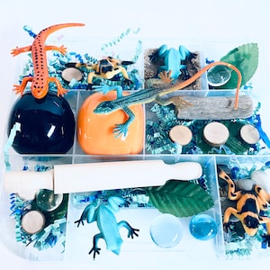 Reptile Play Dough Kit, Play Dough Kit, Lizards and Frogs Sensory Play, Play Doh Kit, Kids Xmas Gift, Montessori Busy Box, Kids Gift, Snake