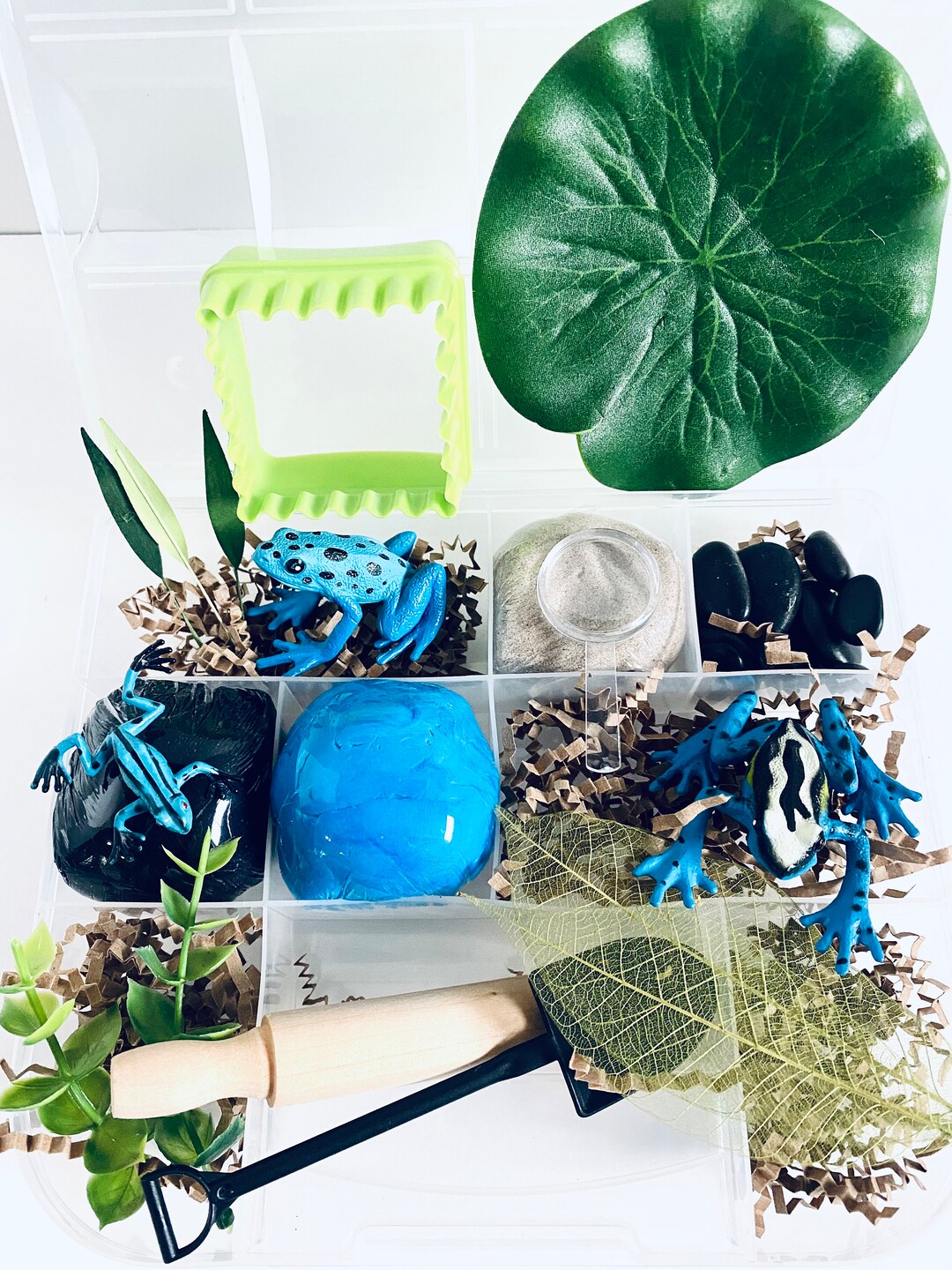 Frogs Sensory Play Kit, Sensory Box, Gift for Boy, Boy Gift, Playdoh