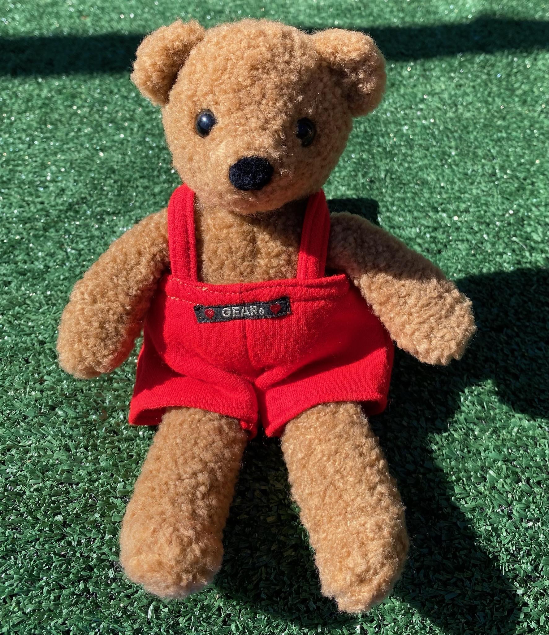 1986 Gund Bear - Etsy