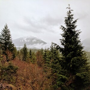 Téléchargement immédiat : Misty Teneriffe