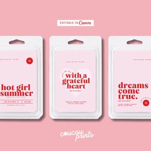 May include: Three rectangular soy wax melt packages in white plastic clamshells with light pink labels and red text. The labels feature the phrases hot girl summer, with a grateful heart, and dreams come true. Each package includes a hang hole.