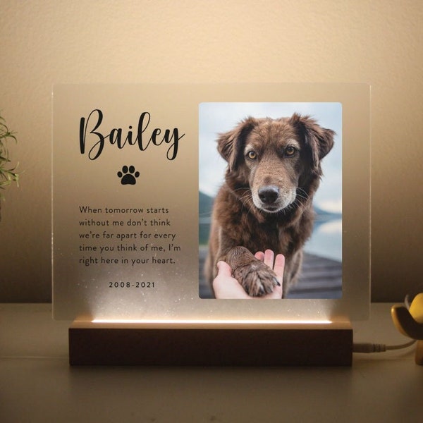 Light Up Pet Memorial Plaque | Personalized Gifts for Pet Loss | Sympathy Gift for Cat, Dog and Any Other Animals