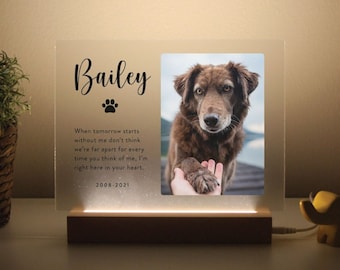 Light Up Pet Memorial Plaque | Personalized Gifts for Pet Loss | Sympathy Gift for Cat, Dog and Any Other Animals