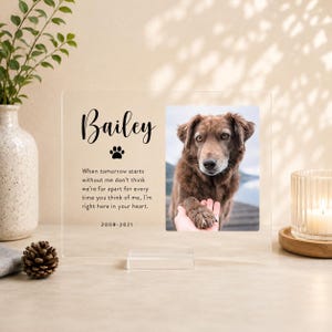 Puede incluir: Una placa conmemorativa rectangular de acr&iacute;lico transparente con el nombre Bailey, un icono de huella, las fechas 2008-2021 y un poema. A la derecha, una foto muestra a un perro marr&oacute;n con una mano tocando su pata. La placa se apoya en una base.