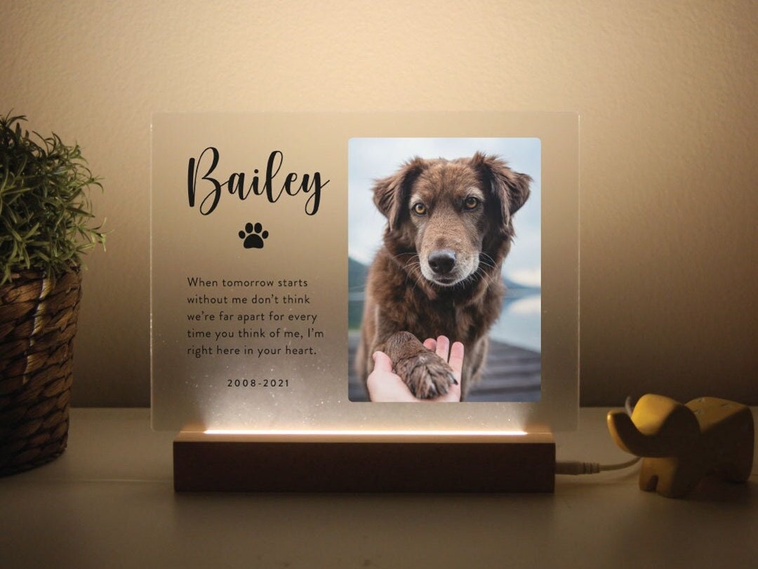Light up Pet Memorial Plaque Personalized Gifts for Pet Loss Sympathy