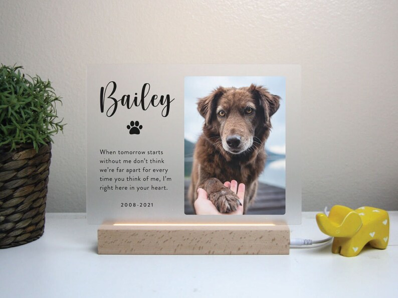 Light up Pet Memorial Plaque Personalized Gifts for Pet Loss Etsy