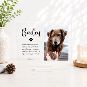 Placa conmemorativa para mascotas, regalos personalizados por la pérdida de una mascota, regalo de condolencia para gatos, perros y cualquier otro animal. imagen 13