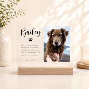 Puede incluir: Una placa conmemorativa rectangular de acr&iacute;lico con base de madera clara, que muestra el nombre Bailey, una huella, las fechas 2008-2021 y un poema. A la derecha hay una foto de un perro marr&oacute;n, donde se ve una mano tocando su pata.