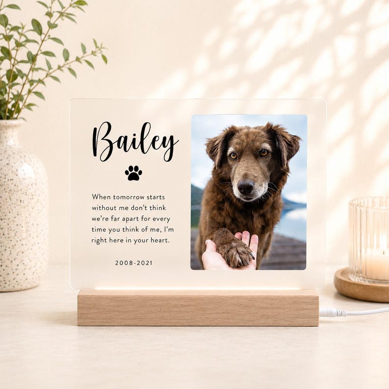 Puede incluir: Una placa conmemorativa rectangular de acr&iacute;lico con base de madera clara, que muestra el nombre Bailey, una huella, las fechas 2008-2021 y un poema. A la derecha hay una foto de un perro marr&oacute;n, donde se ve una mano tocando su pata.