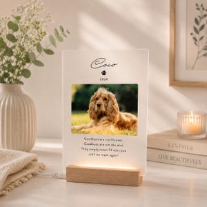 May include: A rectangular acrylic plaque with a light-colored wooden base featuring a photograph of a golden-brown spaniel dog. The plaque displays the name Coco, a paw print icon, the year 2026, and the text Goodbyes are not forever.