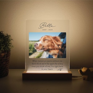 Light Up Pet Memorial Plaque | Personalized Gifts for Pet Loss | Custom Quote Plaque for Dog, Cat, Person