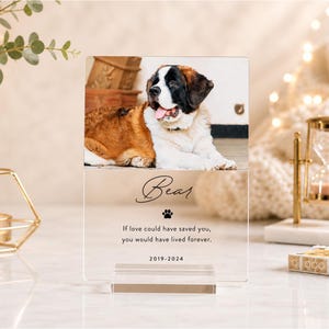 May include: A clear acrylic photo block featuring a Saint Bernard dog with brown, black, and white fur. The block includes the name "Bear", a paw print, the text "If love could have saved you, you would have lived forever," and the years 2019-2024.