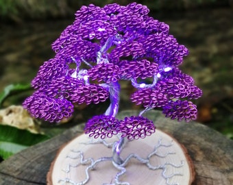 Árbol bonsái de color púrpura brillante