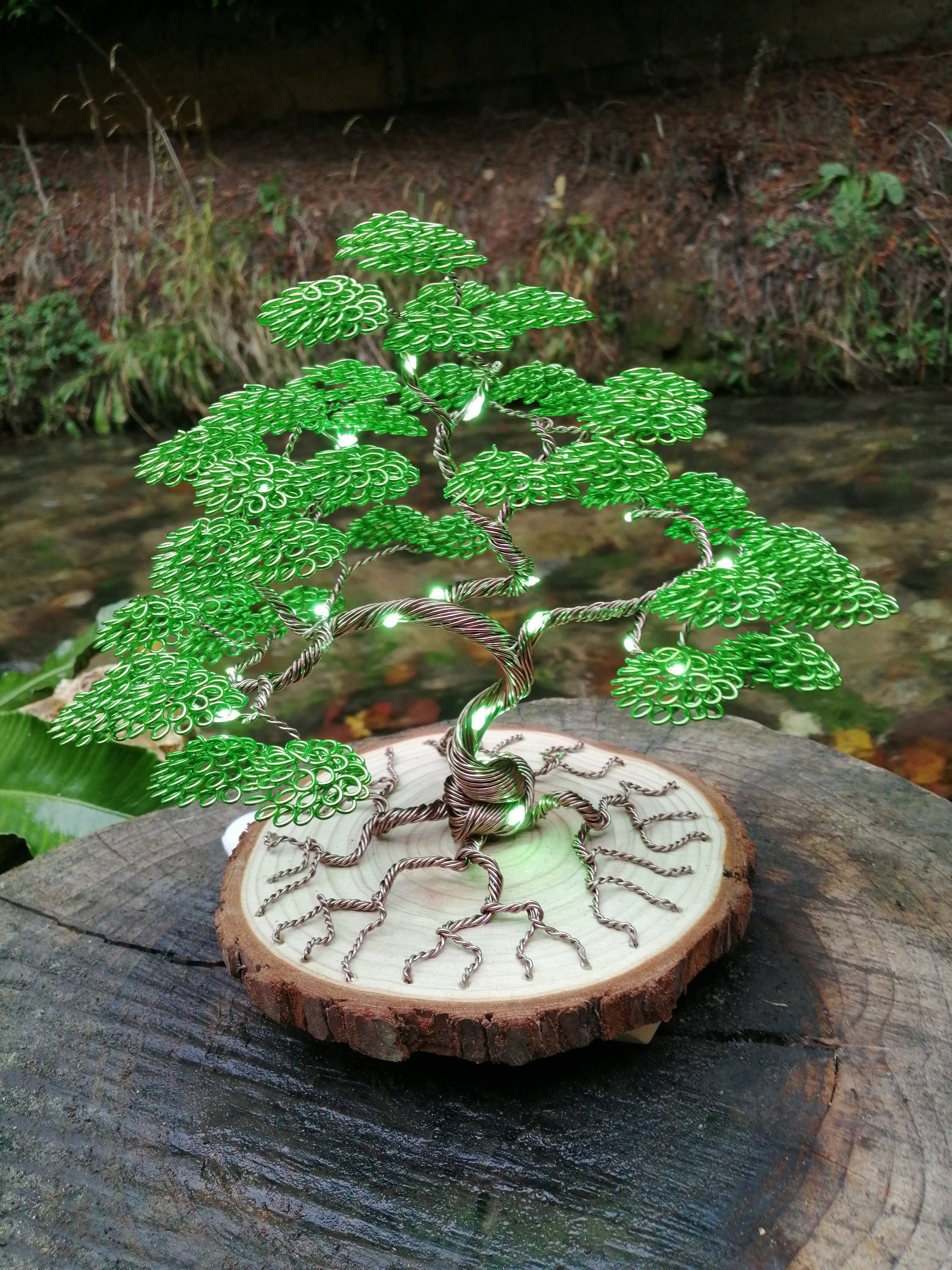 Alambre bonsai fotografías e imágenes de alta resolución - Página 2 - Alamy