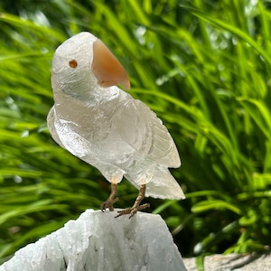Quartz Parakeet Carving: Handmade Crystal Bird Sculpture with Citrine Eyes