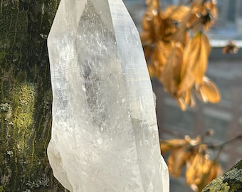 5" Clear Colombian Lemurian Quartz Point: Natural High-Lustre Crystal Specimen