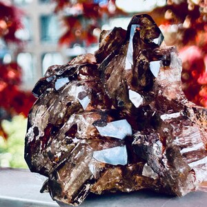 May include: A cluster of smoky quartz crystals. The crystals are a translucent brown color with some areas appearing almost black. The quartz has a rough, textured surface with sharp edges and points. The background is blurred, with hints of red and green.