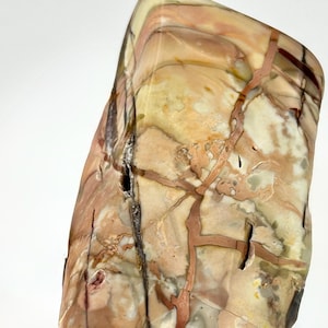 May include: A large, polished stone with a natural, organic shape. The stone features a complex pattern of beige, tan, and reddish-brown hues, with darker veins running throughout. The surface has a smooth, glossy finish, highlighting the stone's unique veining.