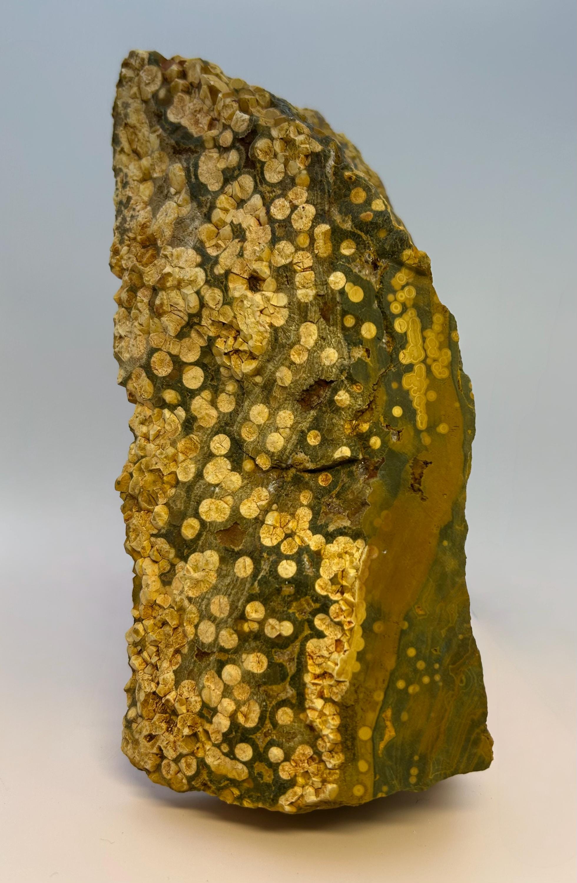 765g Kabamby Ocean Jasper Rough: Orbicular Madagascar Stone - Etsy