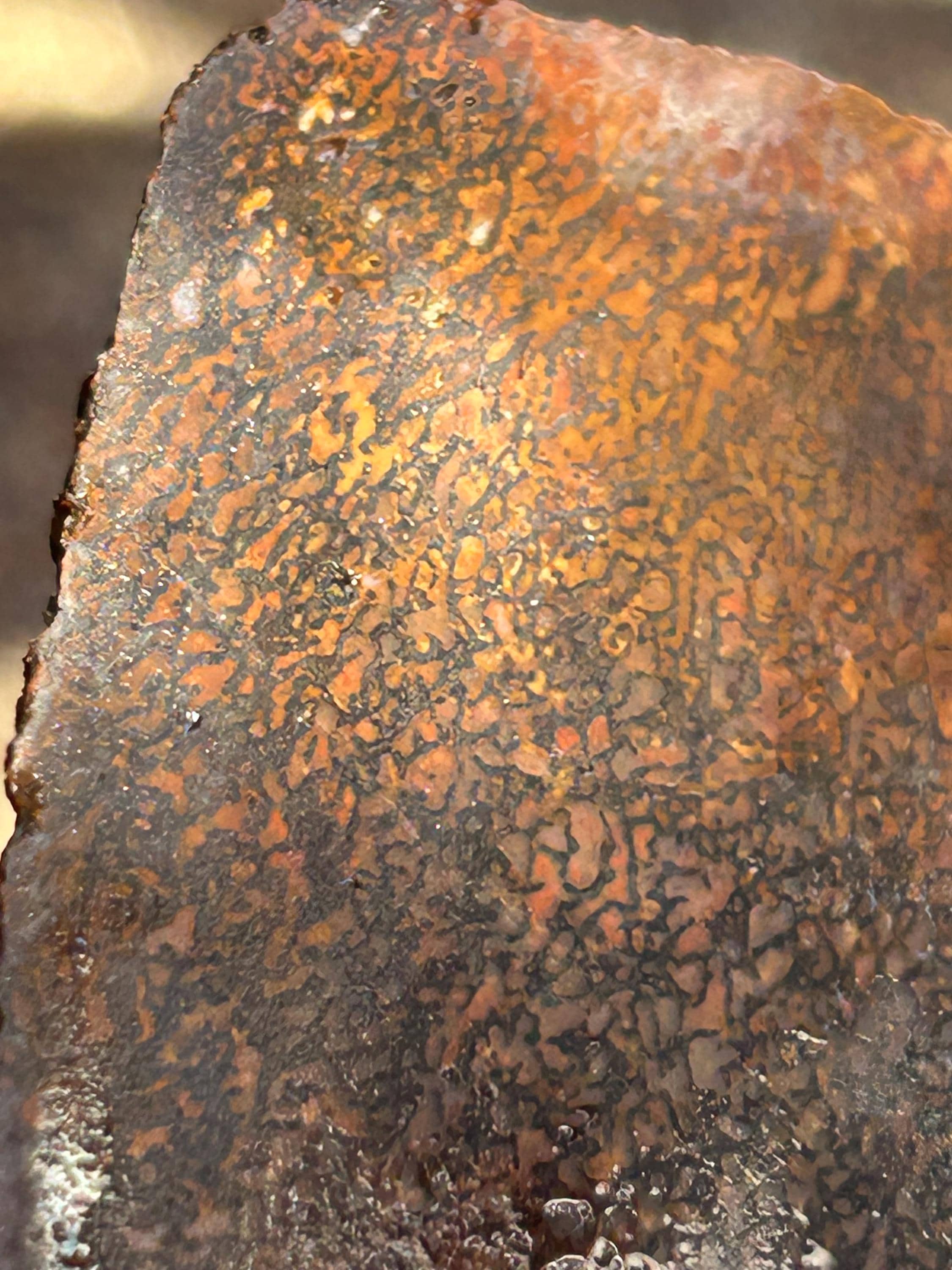 100g Natural Dinosaur Gem Bone Slab- Unpolished- "Yellow"