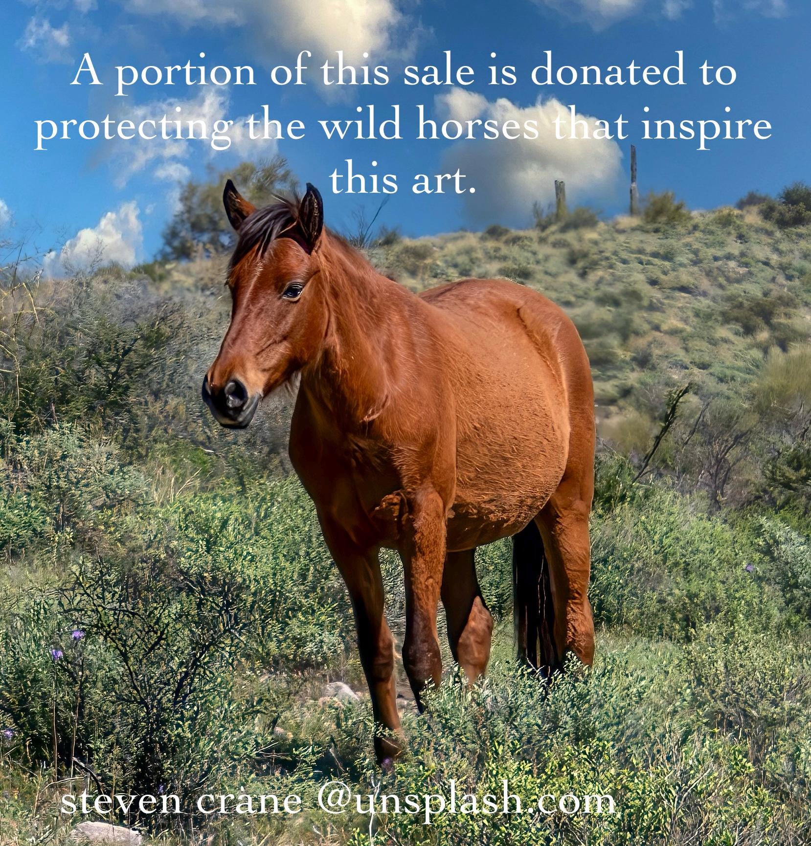 アルゲンティウムのシルバーワイヤーで巻かれたアリゾナ産ワイルド