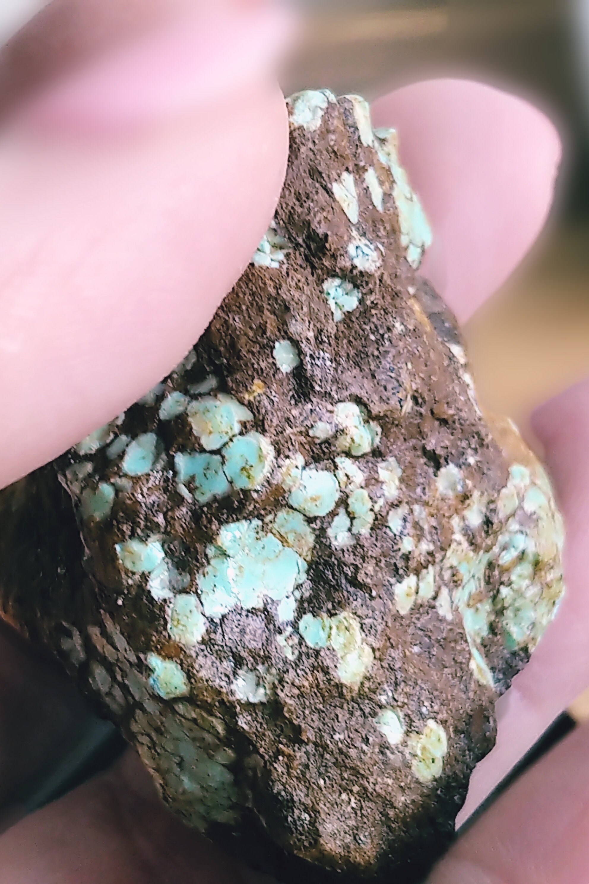 140g Turquoise Collectors Mini Set - No 8/arkansas/wild Horse
