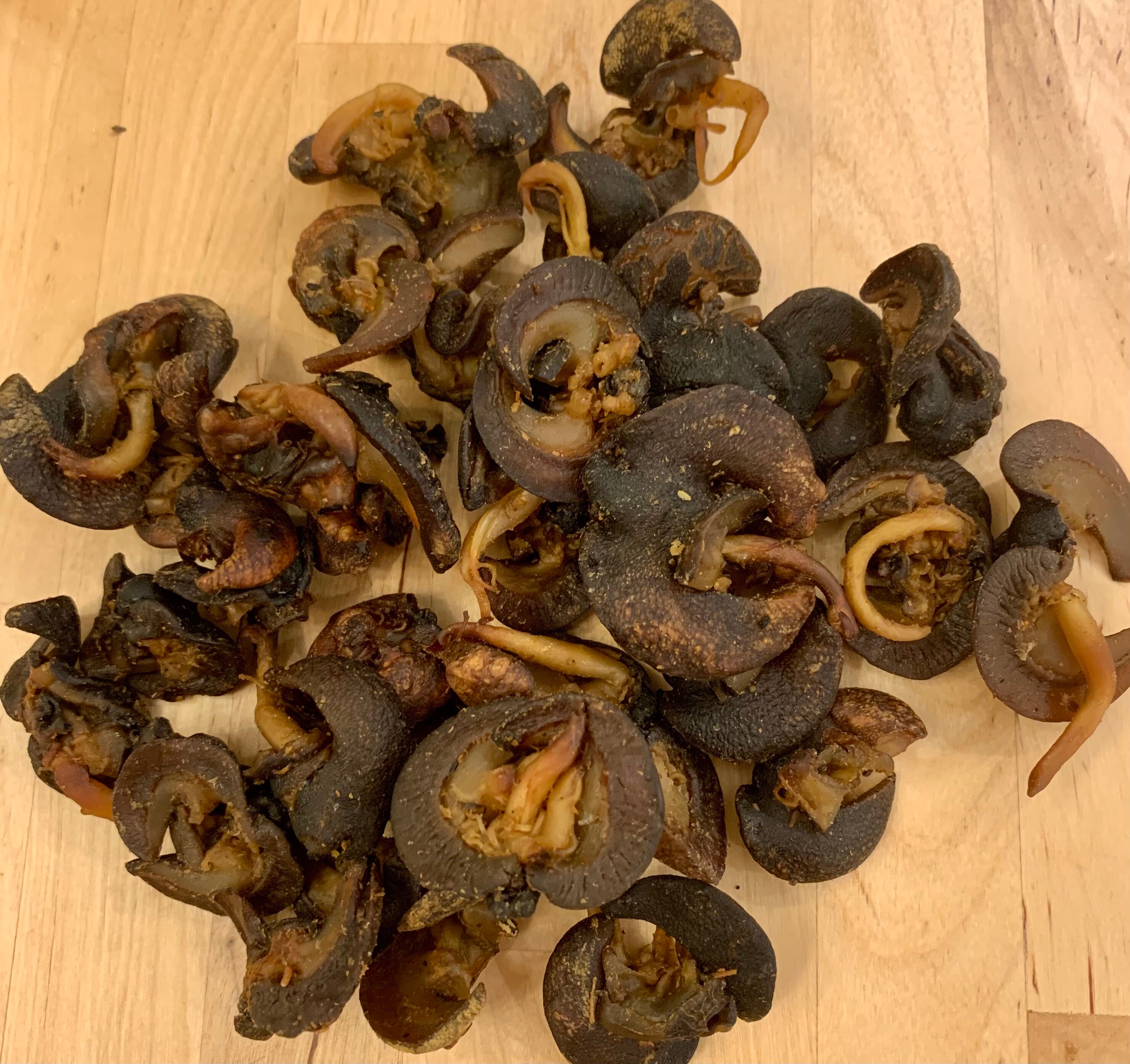 Washed oven dried snails medium size in a pack of 2530 Etsy