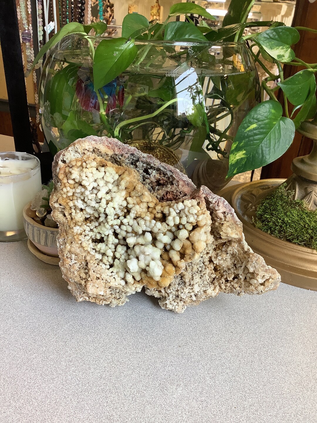 Botryoidal Radial Quartz Druzy Botryoidal Quartz Geode - Etsy