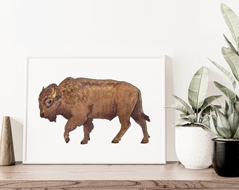 Buffalo / Bison Full Body Watercolor Art Print - 5"x7" - Oklahoma Wildlife - Native America