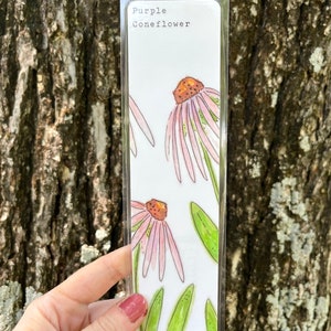 YOU CHOOSE-- Oklahoma Native Wildflower Watercolor Bookmarks, Laminated Prints of Original Wildflower Watercolor/Pollinator Paintings, 2"x8" Purple Coneflower