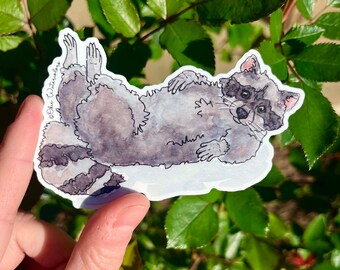 Raccoon Watercolor Art 4" Vinyl Sticker, Indoor/Outdoor, Oklahoma Wildlife, Lounging Cute Raccoon Sticker