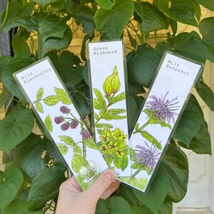 YOU CHOOSE-- Oklahoma Native Wildflower Watercolor Bookmarks, Laminated Prints of Original Wildflower Watercolor/Pollinator Paintings, 2"x8" image 2