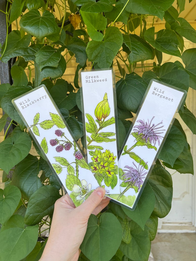 YOU CHOOSE-- Oklahoma Native Wildflower Watercolor Bookmarks, Laminated Prints of Original Wildflower Watercolor/Pollinator Paintings, 2"x8" image 2