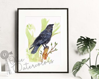 Crow Watercolor Painting Art Print, 8x10" Oklahoma Wildlife Crow Art, Crow on a Tree Limb, Art Gift for Crow Lovers