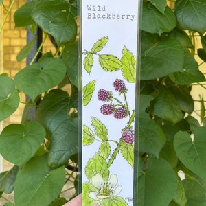 YOU CHOOSE-- Oklahoma Native Wildflower Watercolor Bookmarks, Laminated Prints of Original Wildflower Watercolor/Pollinator Paintings, 2"x8" Wild Blackberry