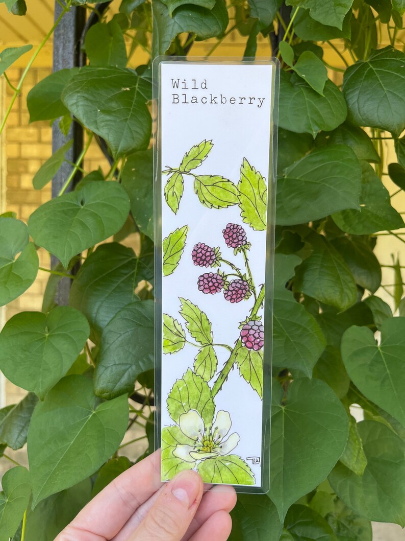 YOU CHOOSE-- Oklahoma Native Wildflower Watercolor Bookmarks, Laminated Prints of Original Wildflower Watercolor/Pollinator Paintings, 2"x8" Wild Blackberry