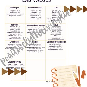 Lab Values Cheat Sheet includes Oxygen Devices PDF Download Letter Size ...